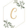 cxwang15